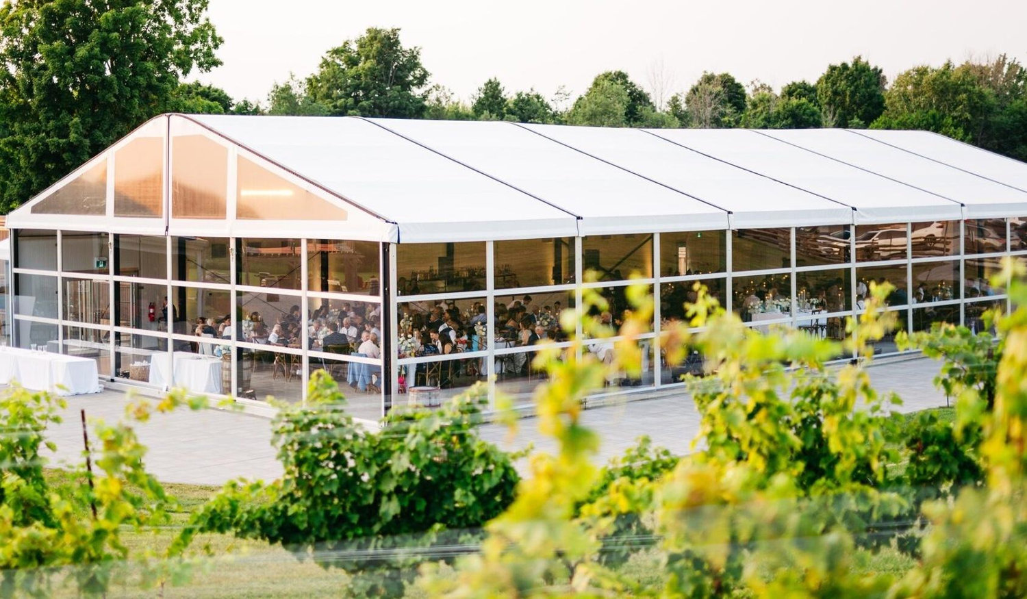 The Wedding Website of Maia Popescu and Nik Seidel