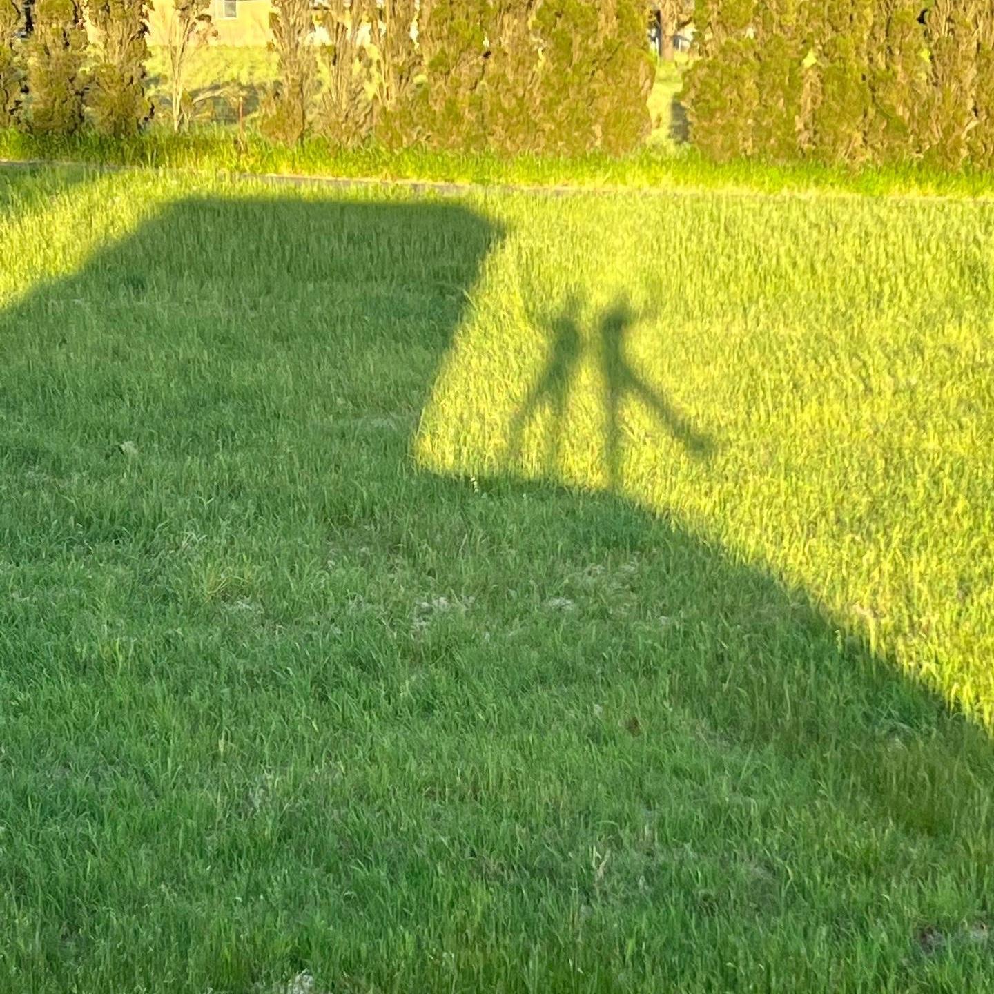Our shadows from the barn roof