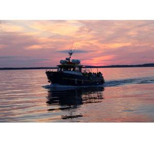 Sunset Cruise
