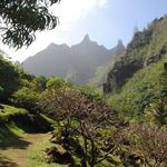 Limahuli Garden & Preserve, National Tropical Botanical Garden