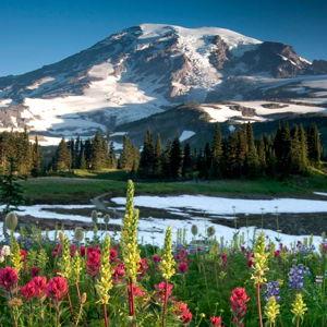 Washington State National Parks Visitation