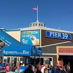 Pier 39