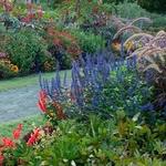 Reynolda Gardens of Wake Forest University
