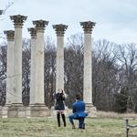 United States National Arboretum