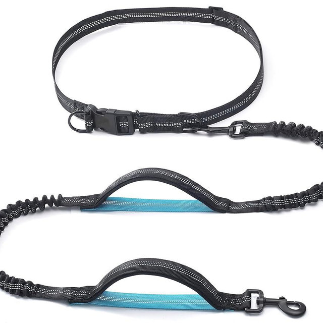 iYoShop Retractable Hands Free Dog Leash – Dual Handle Bungee Waist Leash for Small Medium and Large Large Dogs (25-150 lbs)