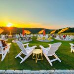 Aquila's Nest Vineyards
