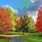 Arboretum & Botanical Garden
