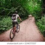 Bicycle Rentals at Hotel Los Cocuyos