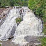 Hendersonville: Dupont State Forest