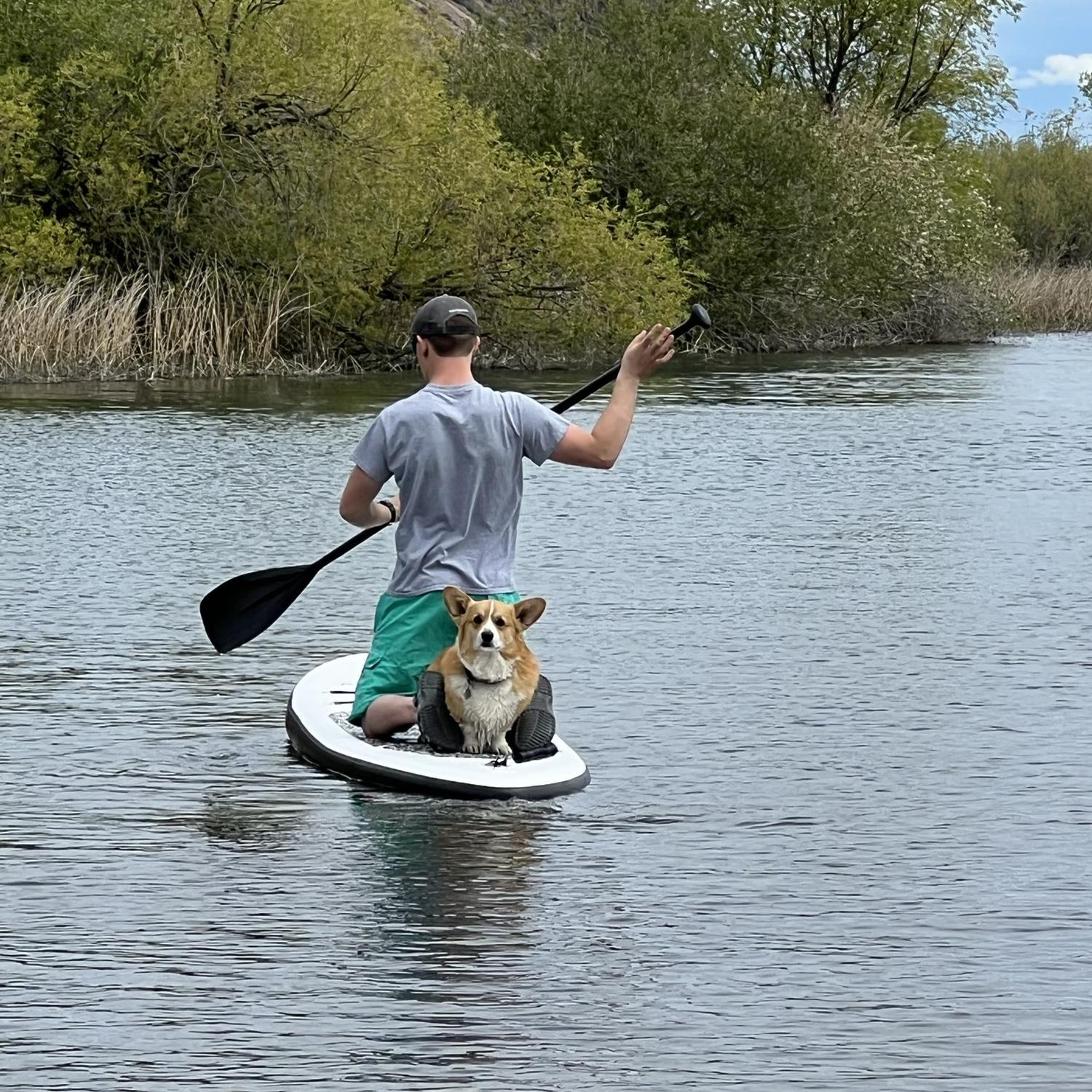 Mark and Maddi love paddle boarding. This specific photo is at Soap Lake WA, and Gage’s first time on the board!