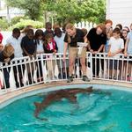 Sandoway Discovery Center