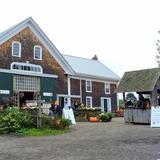 Russell Orchards