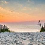 The Beach