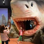 Museum of Discovery and Science