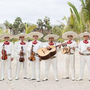 Mariachi (Mariachi Band)