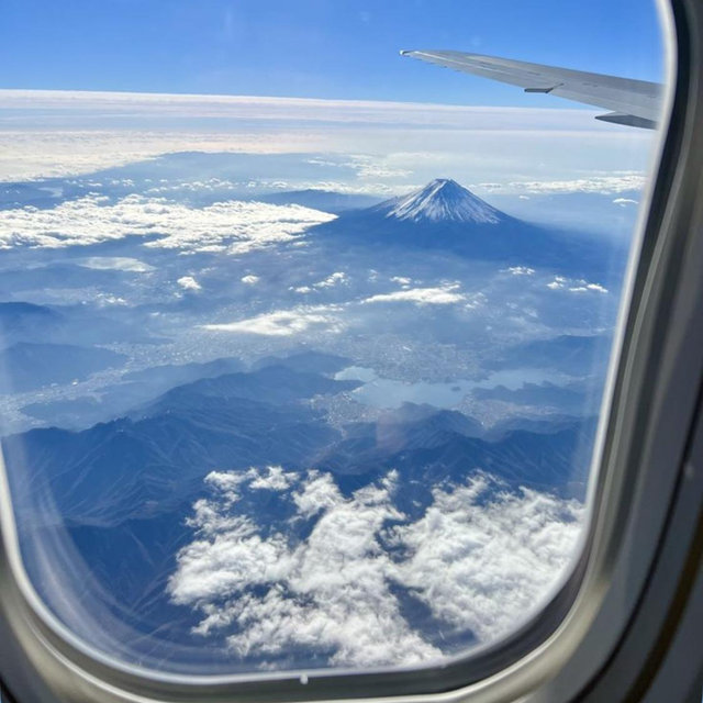 Flight Contribution