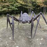 Griffis Sculpture Park