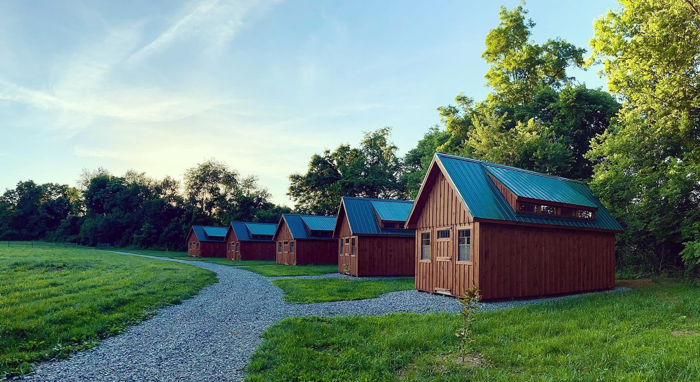 The Wedding Website of Nasi Dineva and Jeff Bucklew