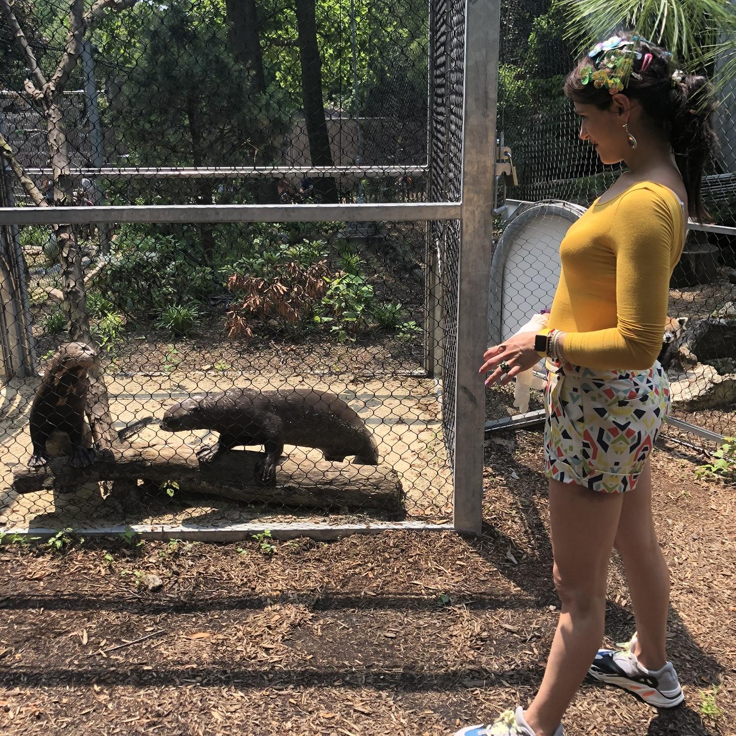 Where the wild things are… and also, us.