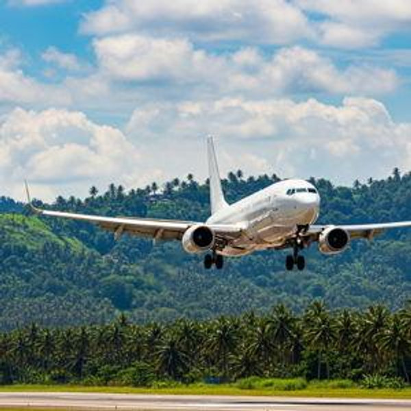Honeymoon Flight