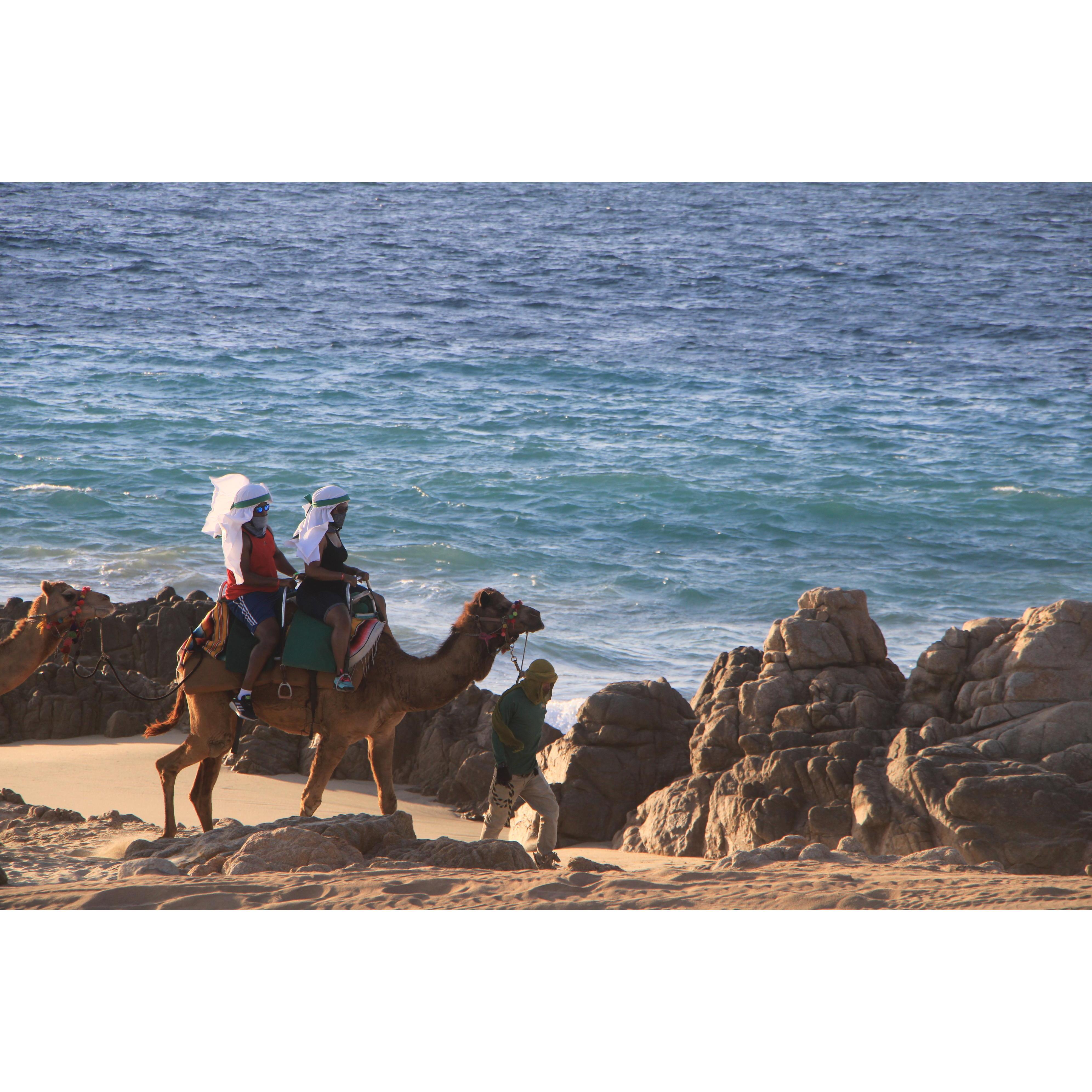 Camel riding in Cabo for Nayshon's birthday. (Feb 2021)