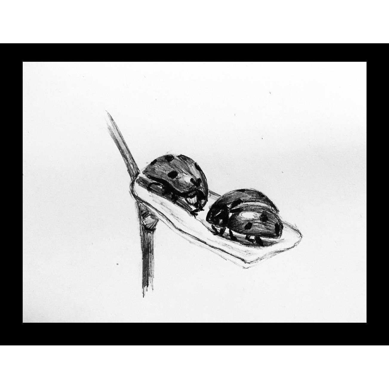 Two Is Better Than One
Ink on Paper
5x7
Framed
Suggested Price: $30