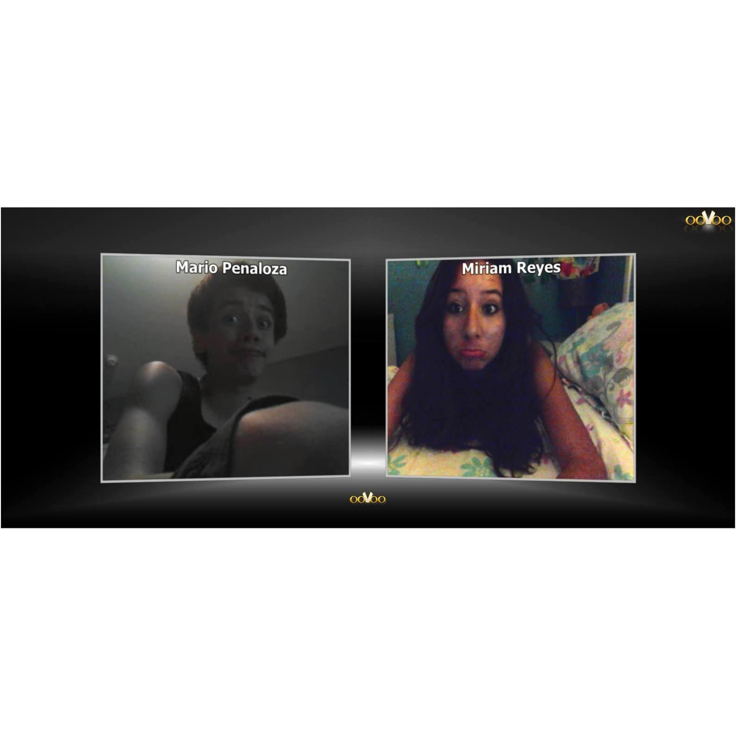 Video Chatting 2014