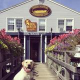 Dog Watch Cafe