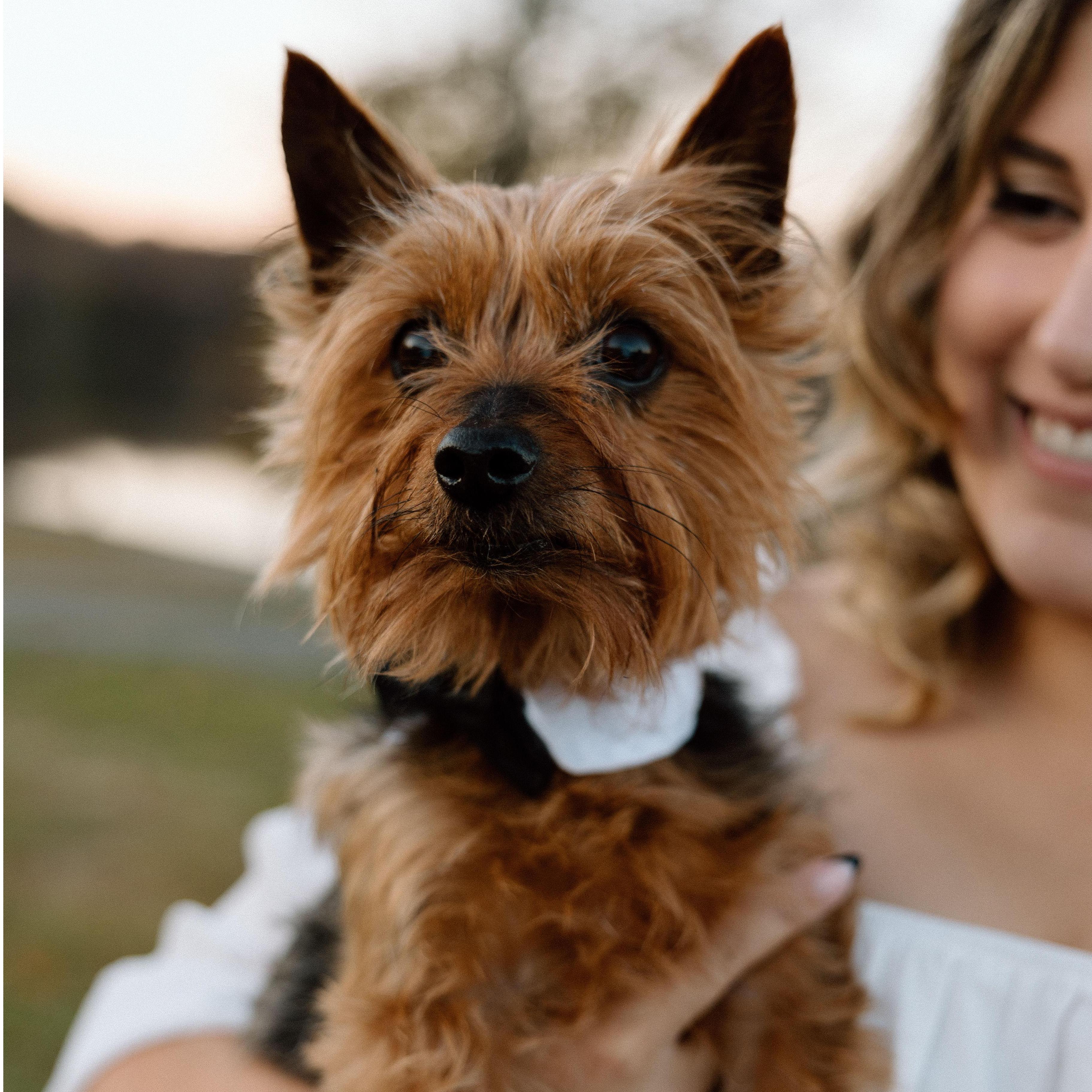 Oskar has been in Elliot's life since 2010. Sheryn came into the picture in 2015 and he very quickly became her soul dog. Now he's her baby boy & a big momma's boy, forever & always.
