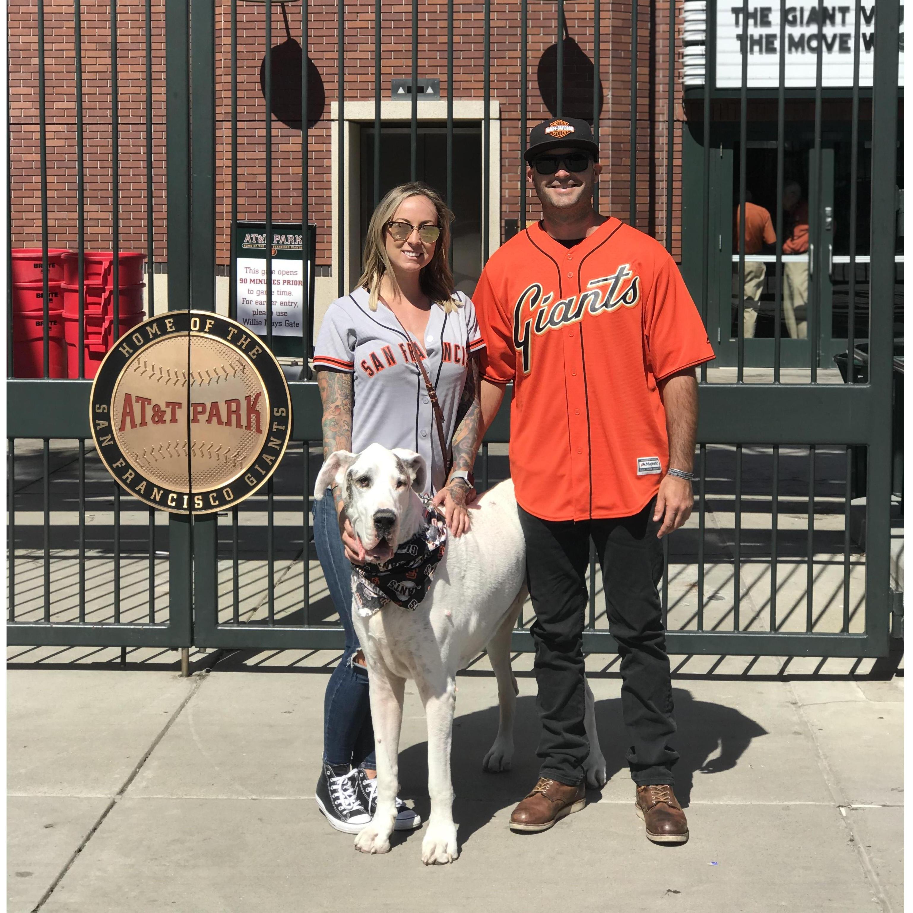 Taking Wilson to his last "Dog Days" of Summer at ATT Park