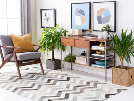 Chevron Hair on Hide Rug