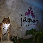 Jaguars Disco