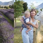 Wanaka Lavender Farm