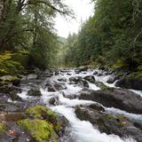 Salmon Cascades