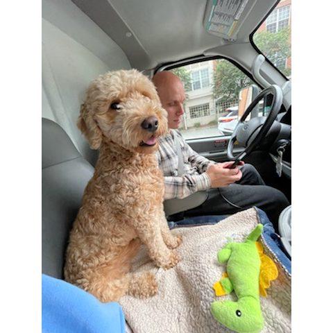 Our fluffy world traveler 