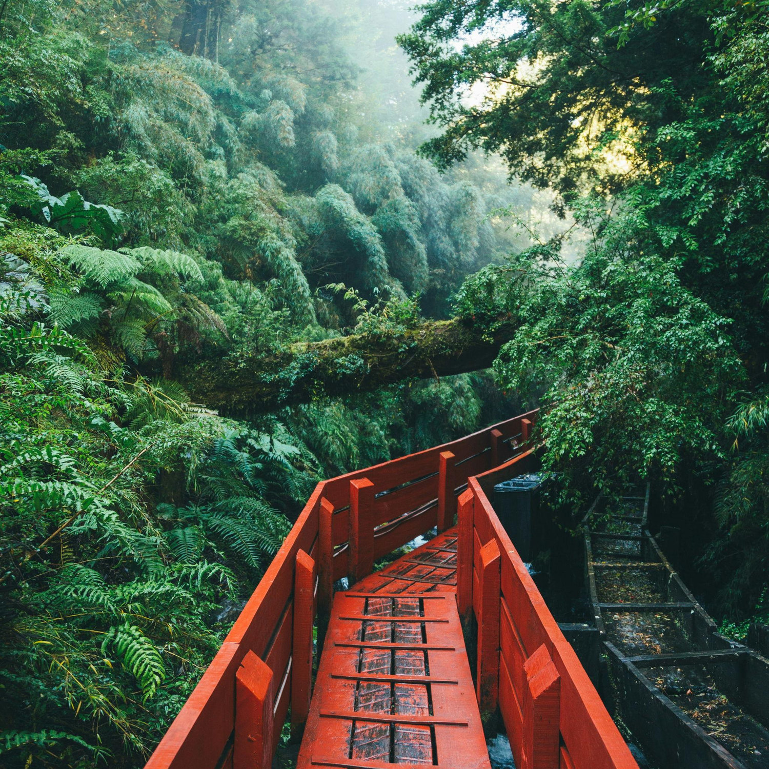 Termas Geométricas