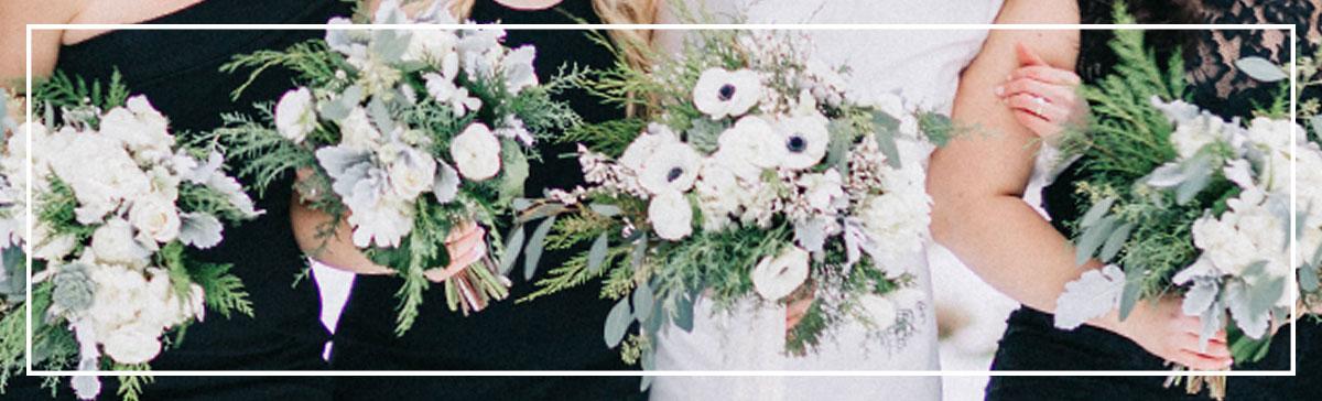 The Wedding Website of Tessa Fuchsman and David Crimmel
