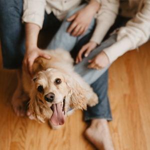 Best Boy grooming