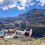 Parque Nacional Cajas