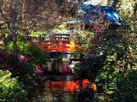 Descanso Gardens