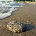 Petoskey Water Front