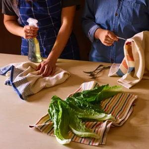 Thyme & Sage 3-Piece Primary Kitchen Towel Set | Food52