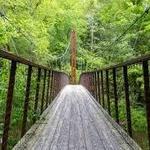 Local hikes!