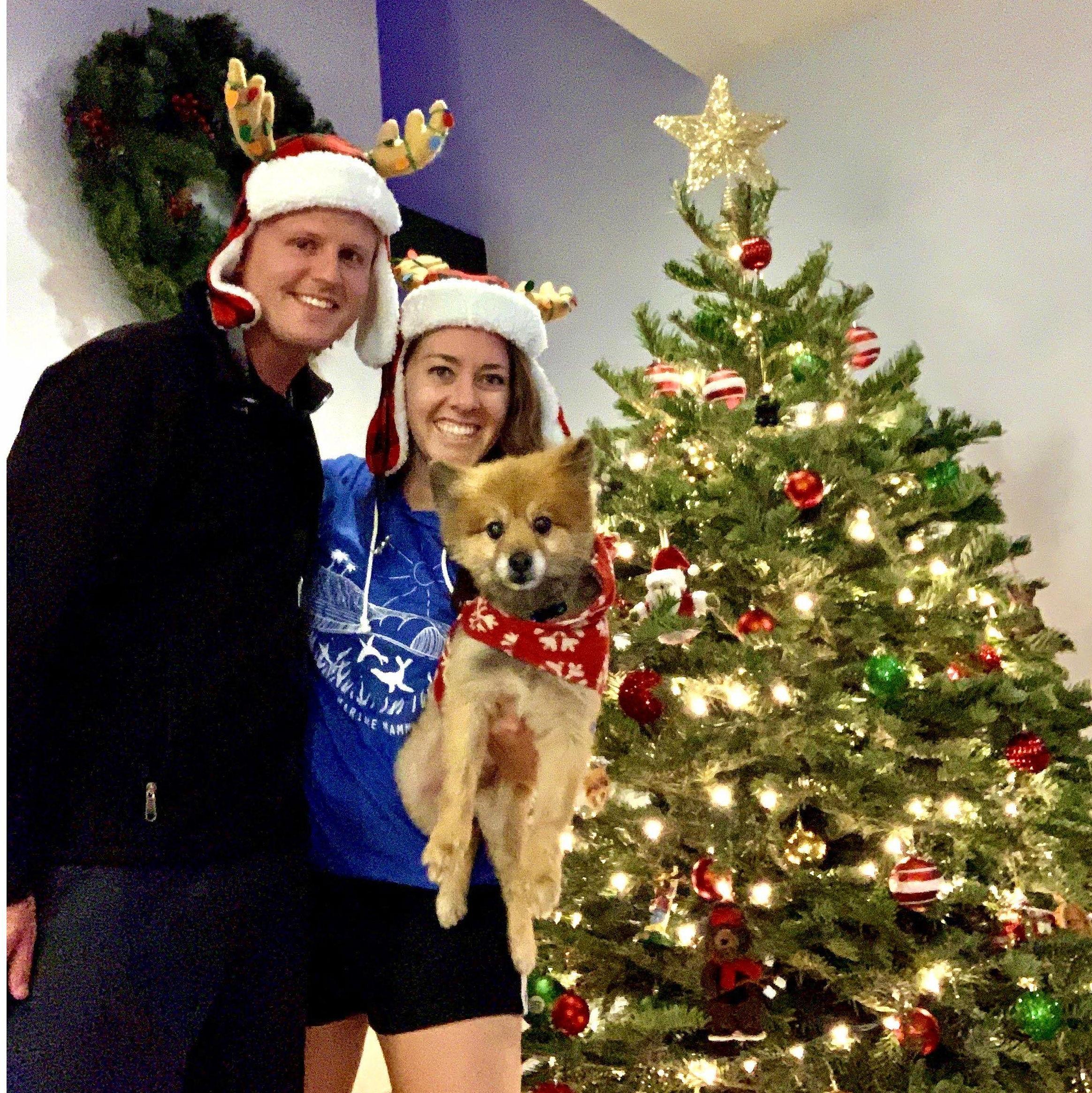 Christmas in Studio City with Bodee!