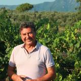 Dereskos Vineyard