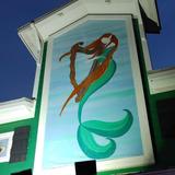 Freckled Fin Irish Pub