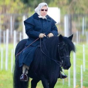 Horseback Riding on Honeymoon