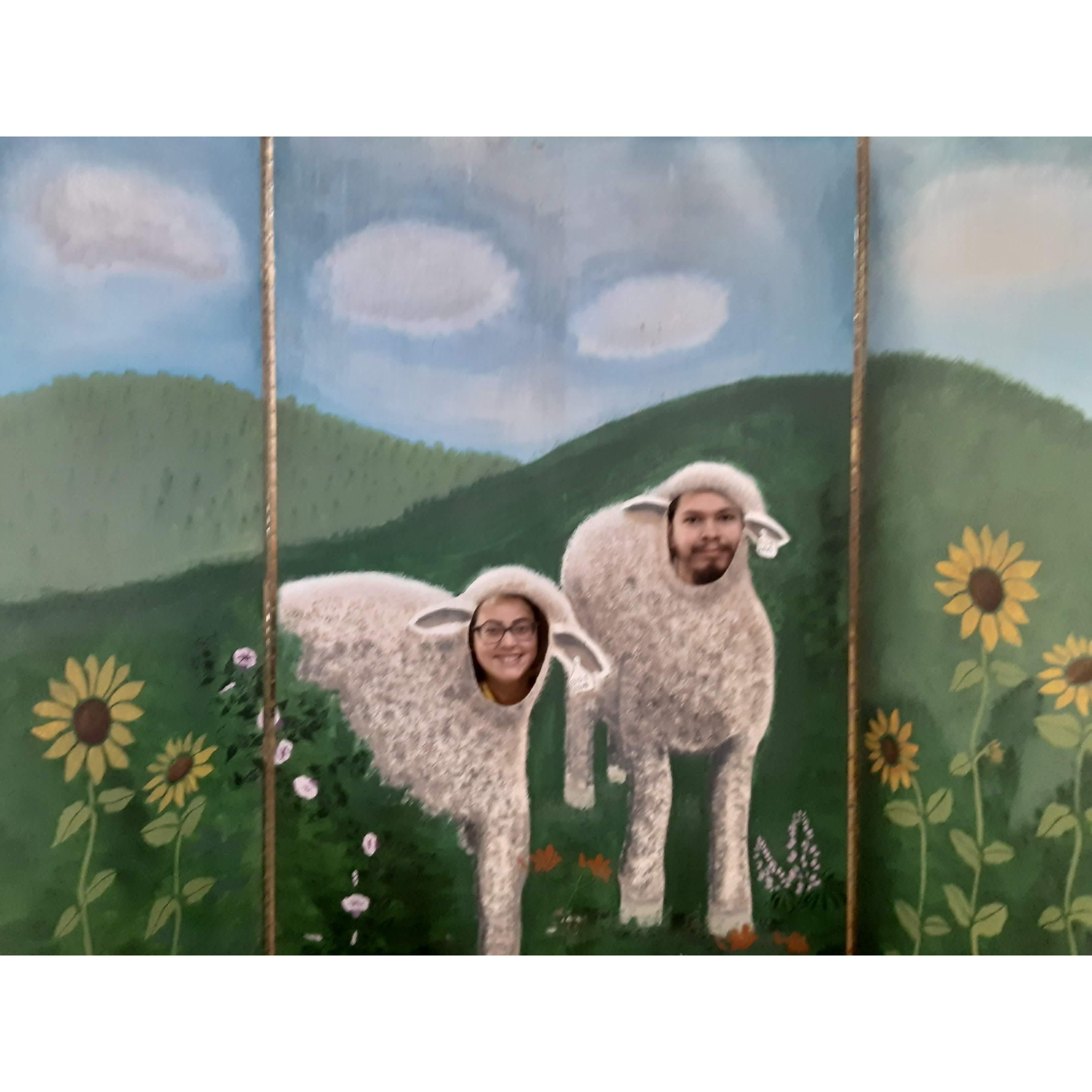 You had me at "Bahhh!"