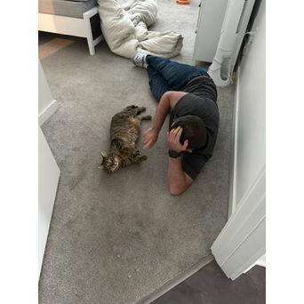 Daniel is a cat dad!