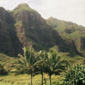 Hawaii Honeymoon Fund
